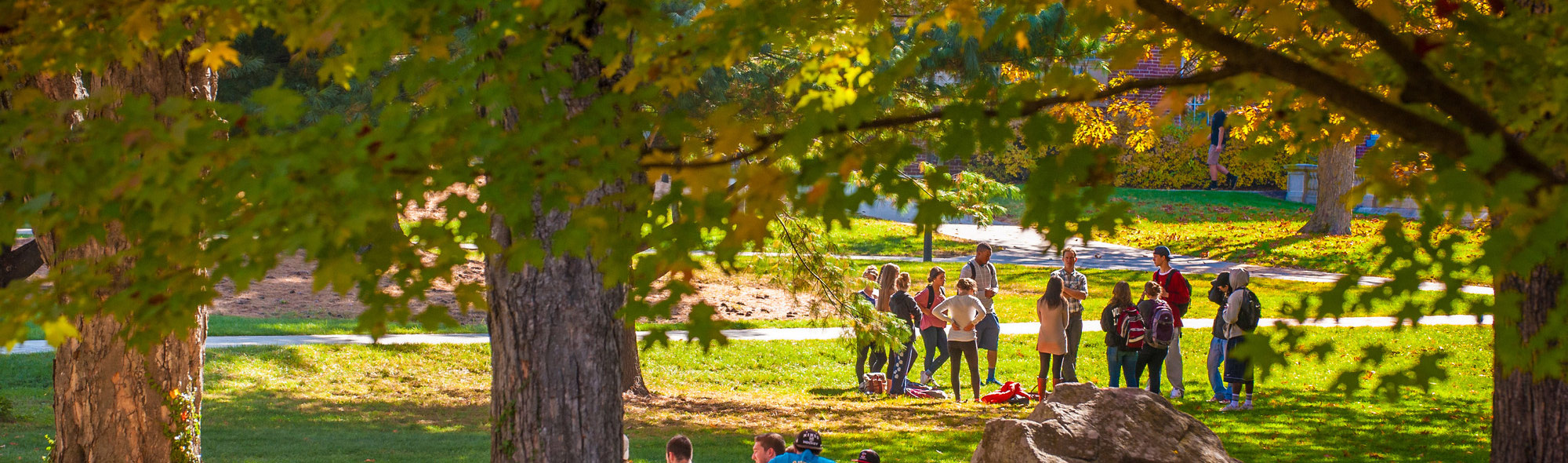 Students on campus