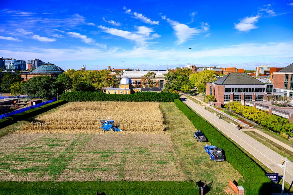 A green field underneath a blue sky.