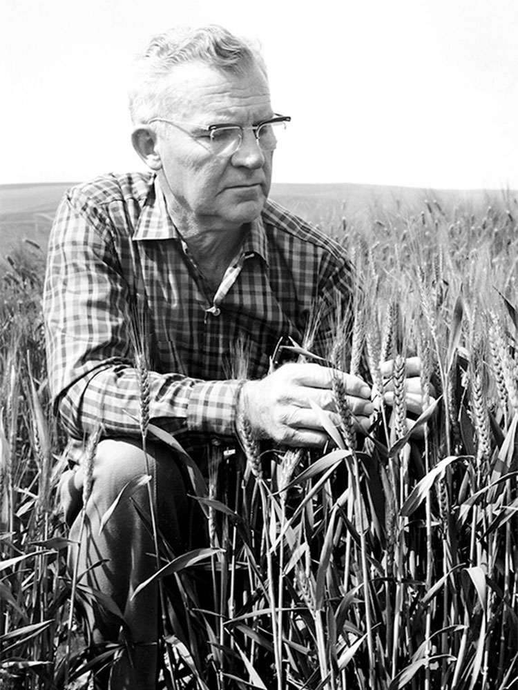 A black and white photo of a man kneeling in a field among crops.