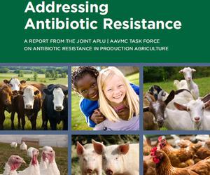 Addressing Antibiotic Resistance