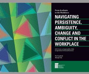 From Academia to the Workforce: Navigating Persistence, Ambiguity, Change and Conflict in the Workplace