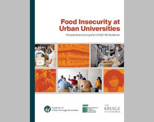 Food Insecurity Report Cover