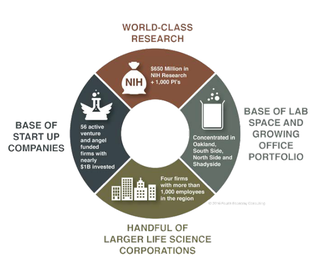 University of Pittsburgh: Life Sciences Opportunity Analysis